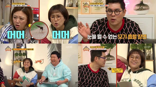 Ƽ���̵��ϸ� ����