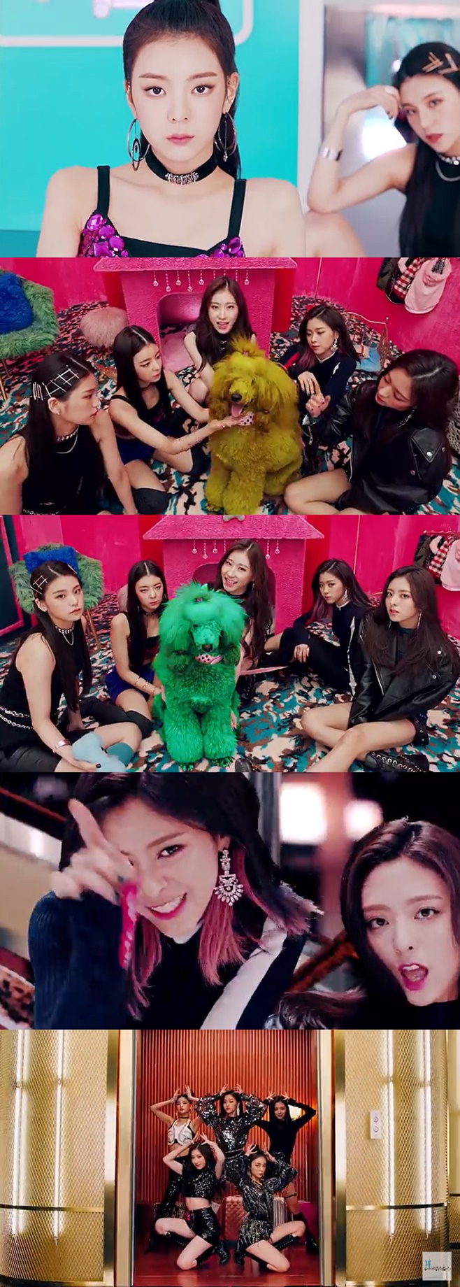 ƼºêÀ̵¥Àϸ® Æ÷Åä