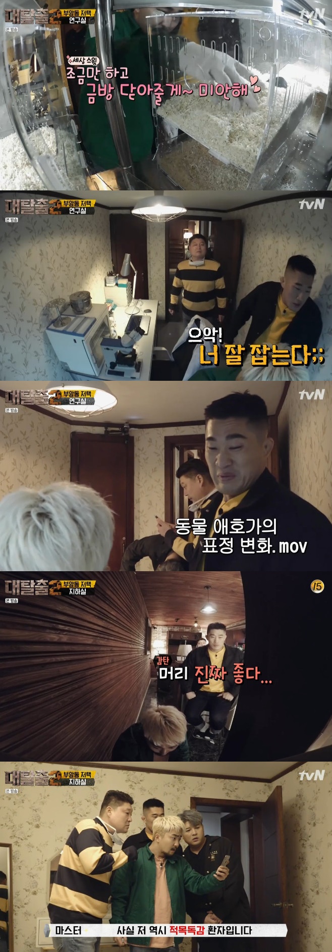 Ƽ���̵��ϸ� ����