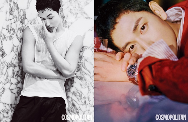 Ƽ���̵��ϸ� ����