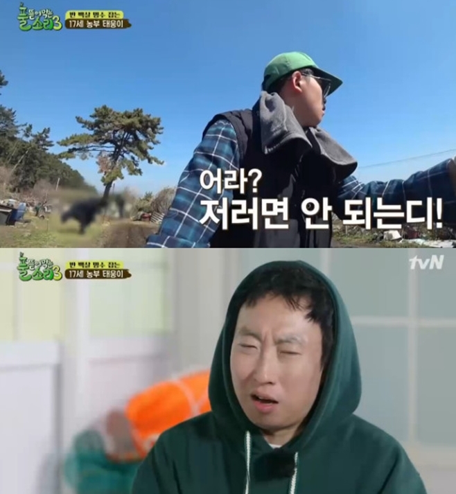 ƼºêÀ̵¥Àϸ® Æ÷Åä