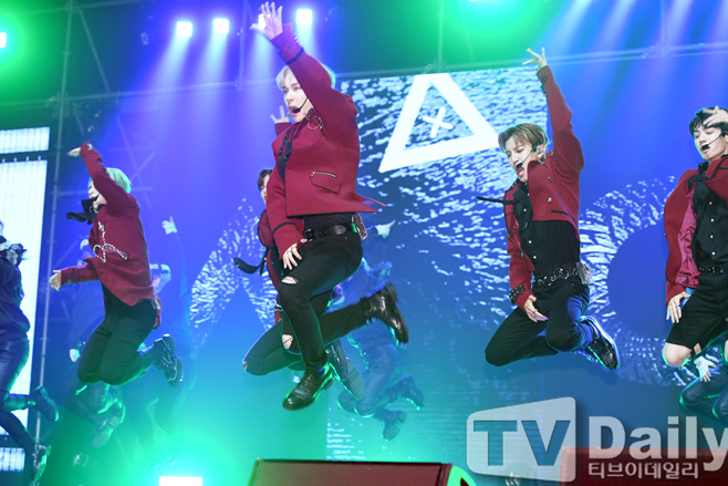 ƼºêÀ̵¥Àϸ® Æ÷Åä