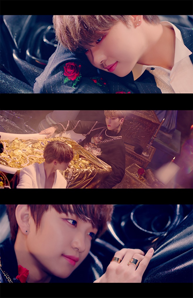 ƼºêÀ̵¥Àϸ® Æ÷Åä