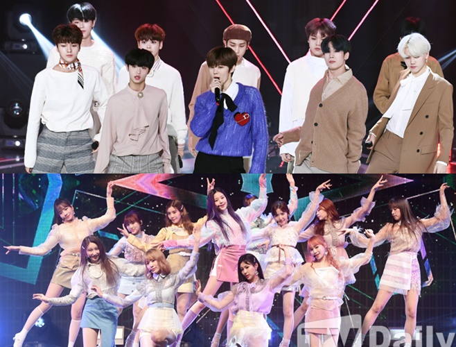 ƼºêÀ̵¥Àϸ® Æ÷Åä