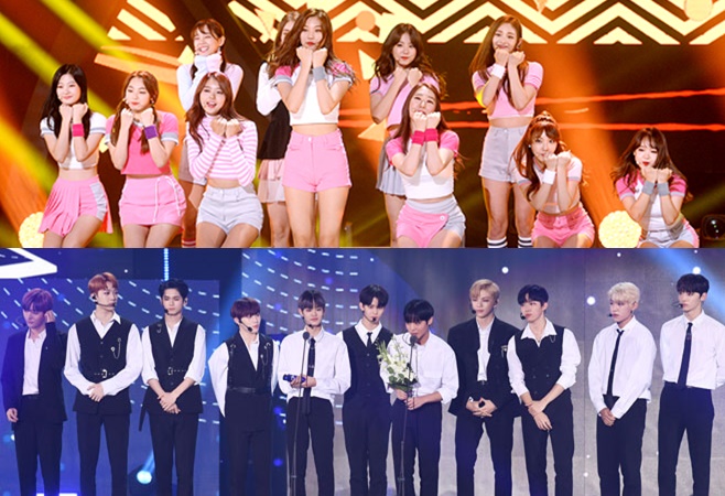 ƼºêÀ̵¥Àϸ® Æ÷Åä