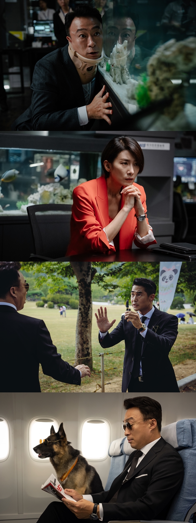 Ƽ���̵��ϸ� ����