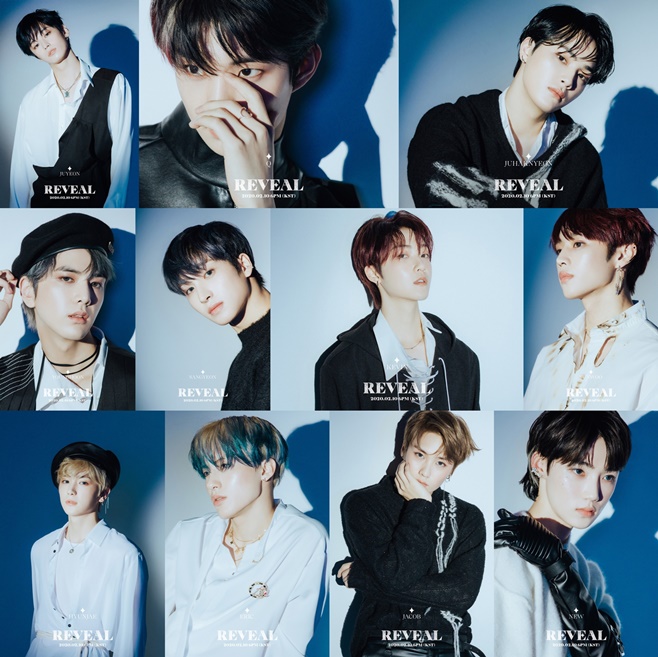 ƼºêÀ̵¥Àϸ® Æ÷Åä