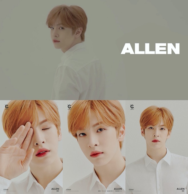 ƼºêÀ̵¥Àϸ® Æ÷Åä