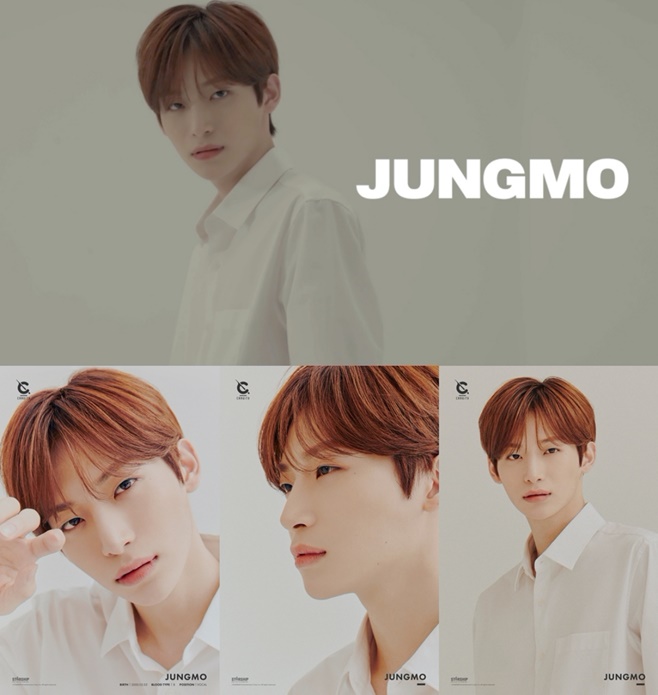 ƼºêÀ̵¥Àϸ® Æ÷Åä