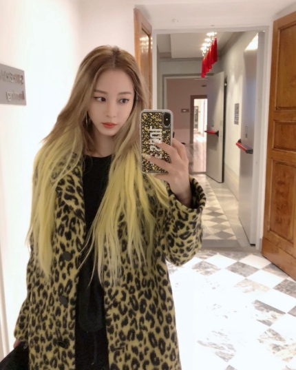 Ƽ���̵��ϸ� ����