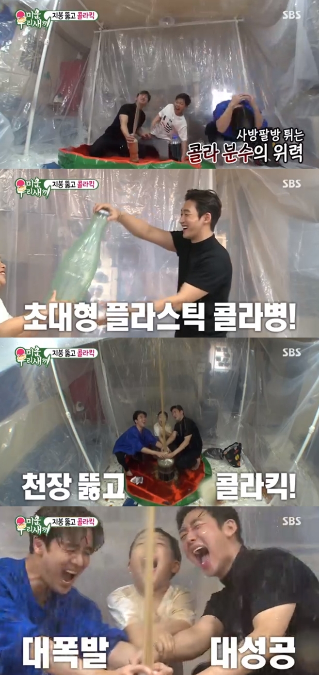 ƼºêÀ̵¥Àϸ® Æ÷Åä