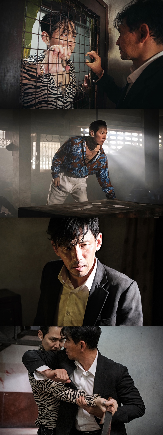 ƼºêÀ̵¥Àϸ® Æ÷Åä