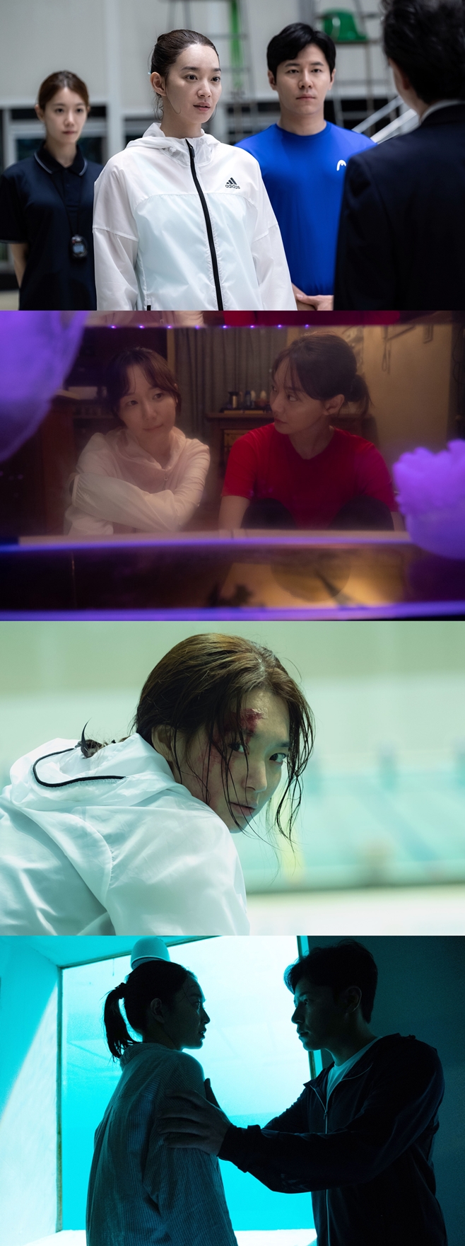 ƼºêÀ̵¥Àϸ® Æ÷Åä