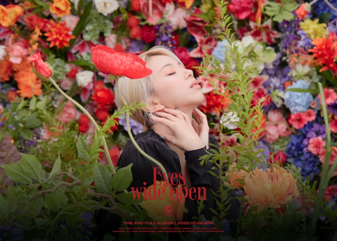 ƼºêÀ̵¥Àϸ® Æ÷Åä