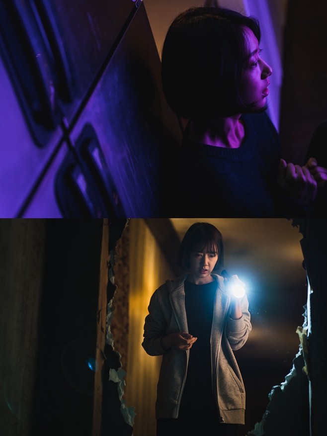 ƼºêÀ̵¥Àϸ® Æ÷Åä