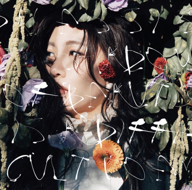 ƼºêÀ̵¥Àϸ® Æ÷Åä