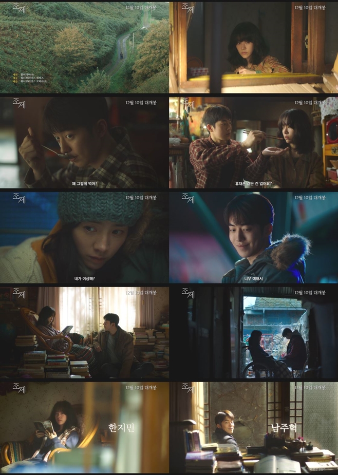 ƼºêÀ̵¥Àϸ® Æ÷Åä