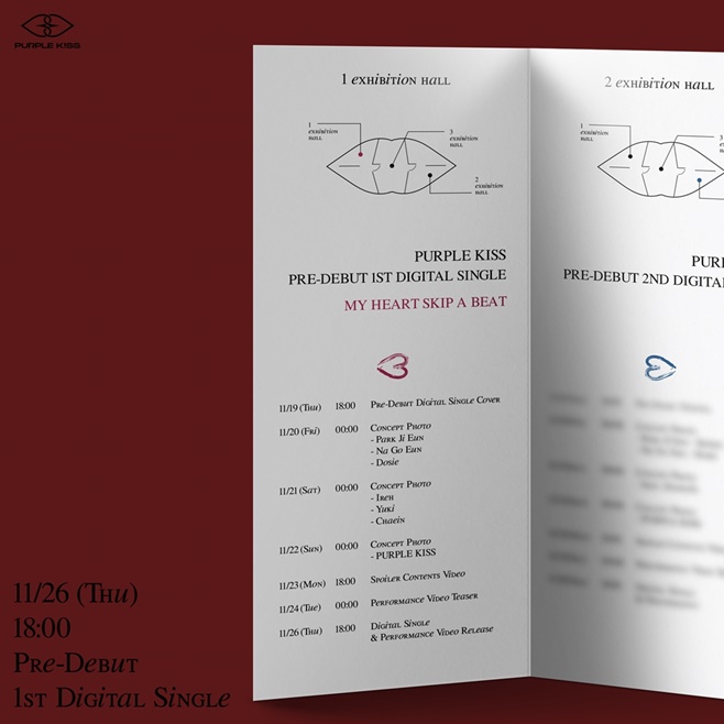 ƼºêÀ̵¥Àϸ® Æ÷Åä