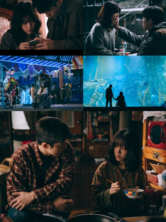 ƼºêÀ̵¥Àϸ® Æ÷Åä