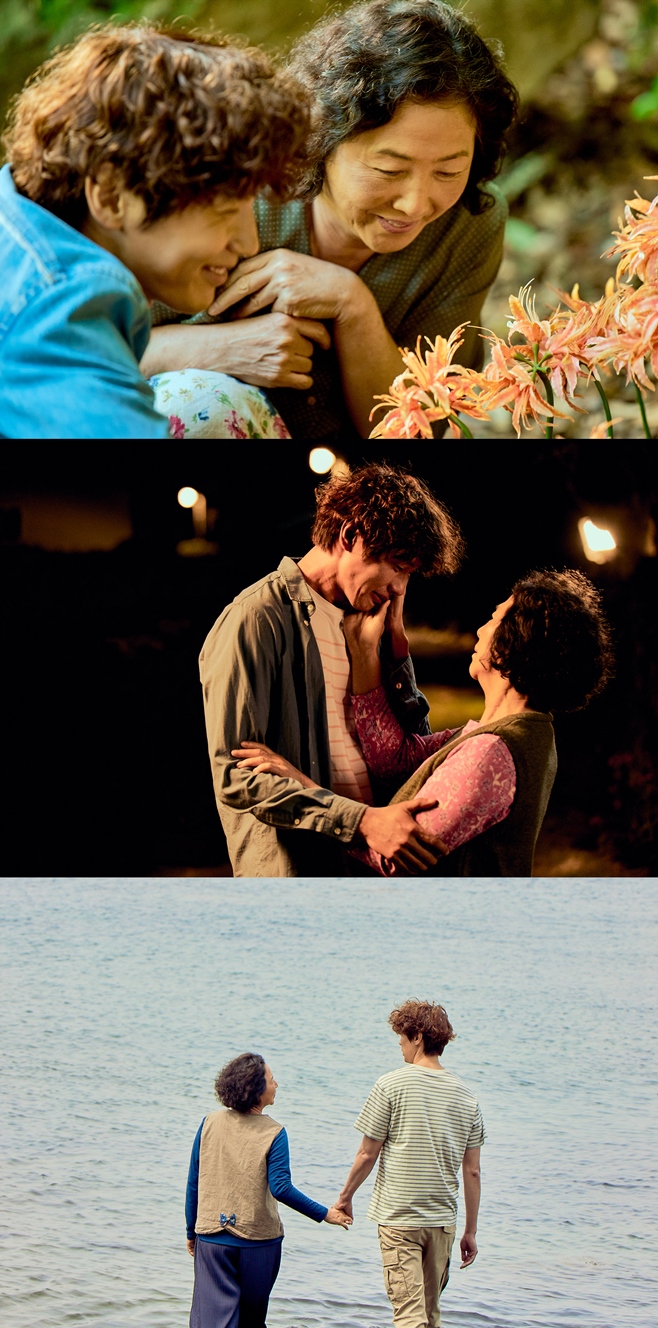 ƼºêÀ̵¥Àϸ® Æ÷Åä