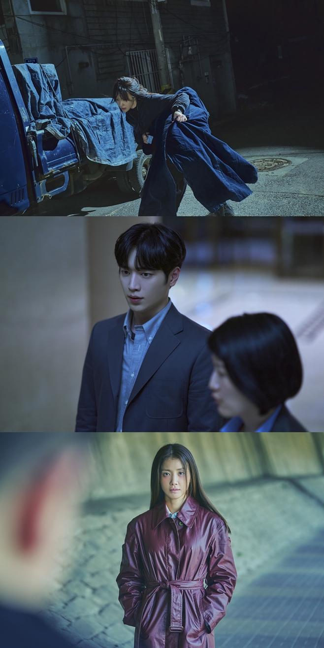 ƼºêÀ̵¥Àϸ® Æ÷Åä