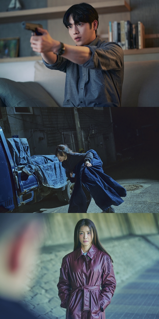 Ƽ���̵��ϸ� ����