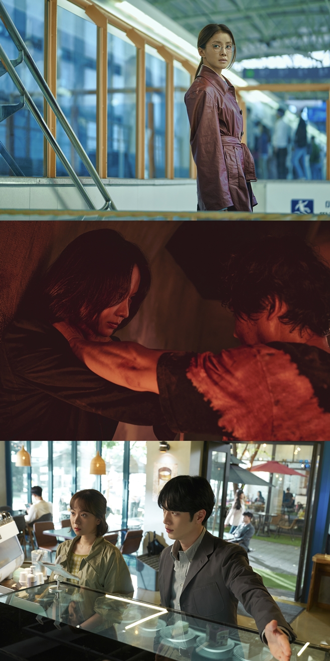 ƼºêÀ̵¥Àϸ® Æ÷Åä