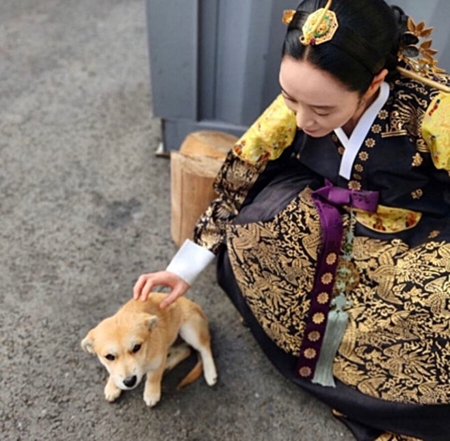 ƼºêÀ̵¥Àϸ® Æ÷Åä