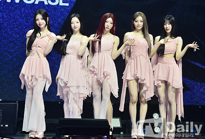 ƼºêÀ̵¥Àϸ® Æ÷Åä