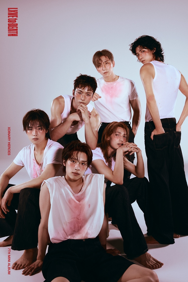 ƼºêÀ̵¥Àϸ® Æ÷Åä