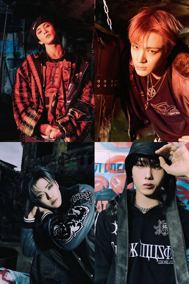 ƼºêÀ̵¥Àϸ® Æ÷Åä