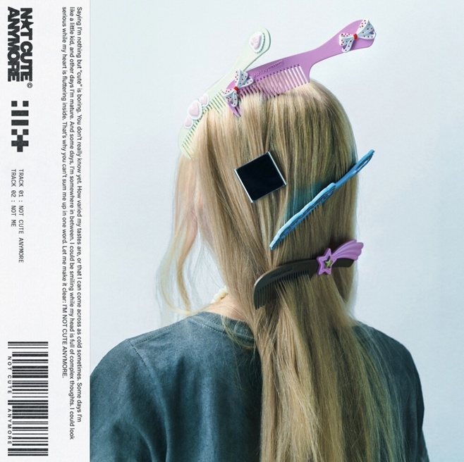 ƼºêÀ̵¥Àϸ® Æ÷Åä