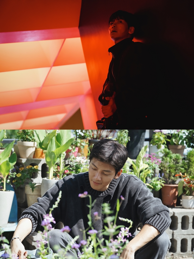 ƼºêÀ̵¥Àϸ® Æ÷Åä