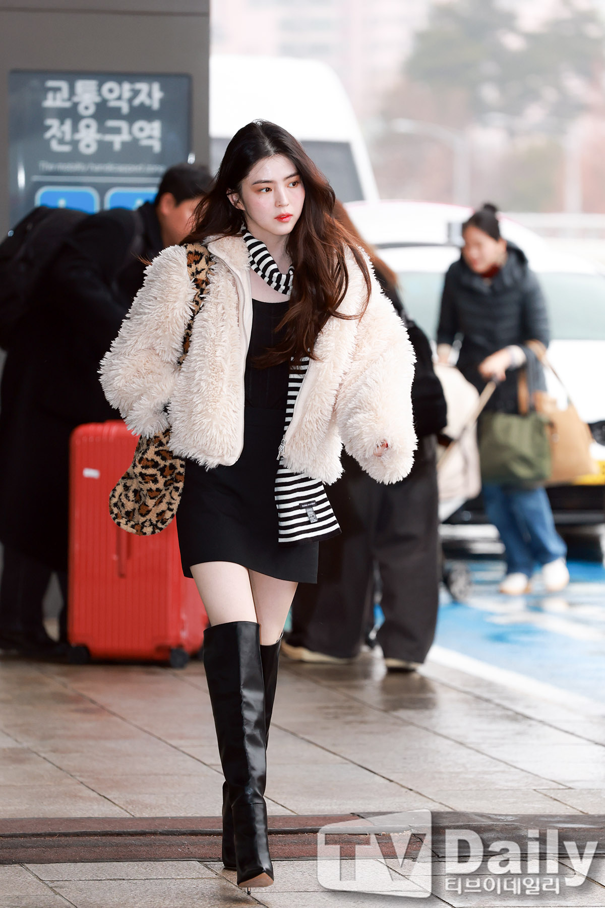 ƼºêÀ̵¥Àϸ® Æ÷Åä