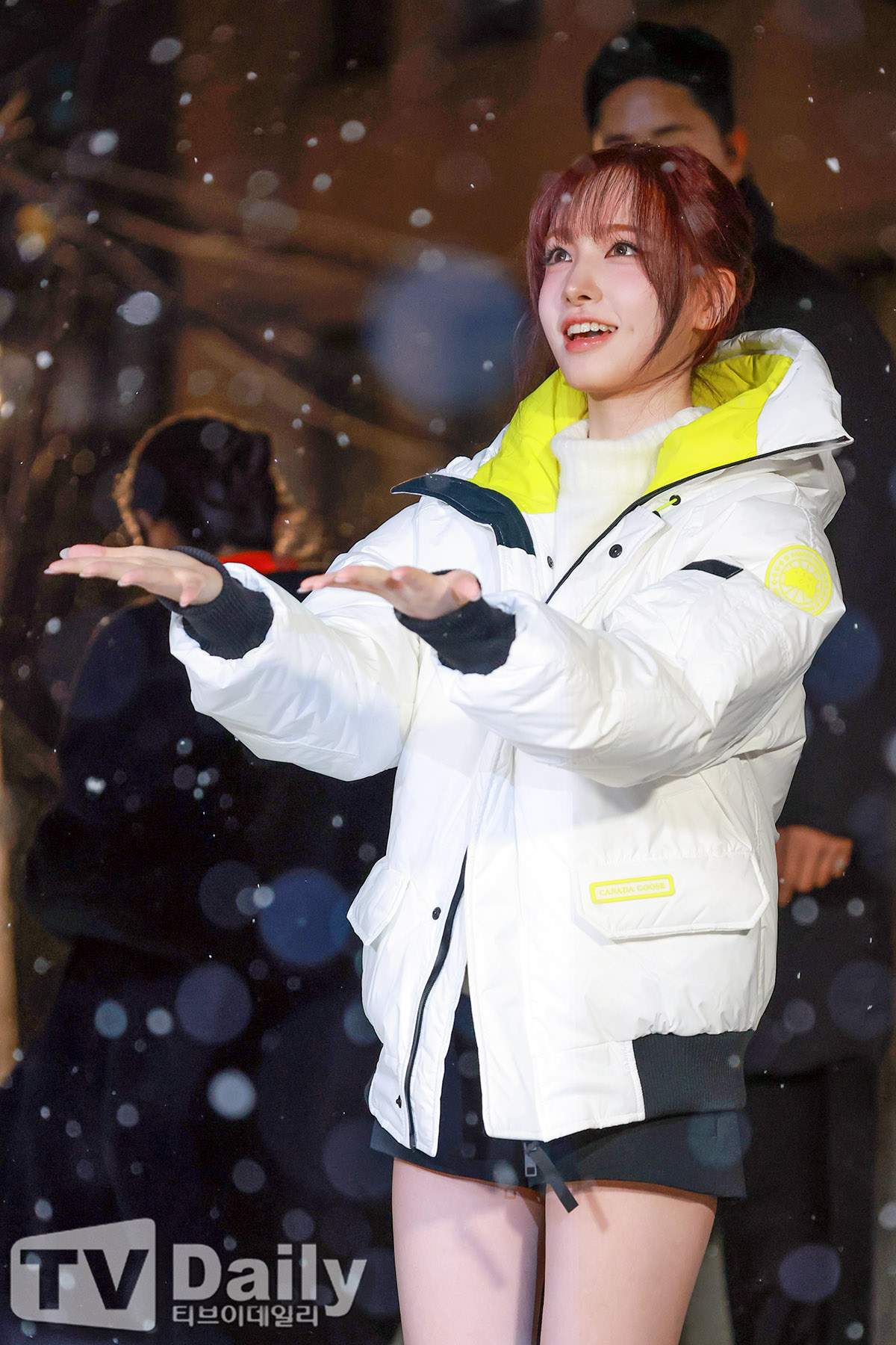 Ƽ���̵��ϸ� ����