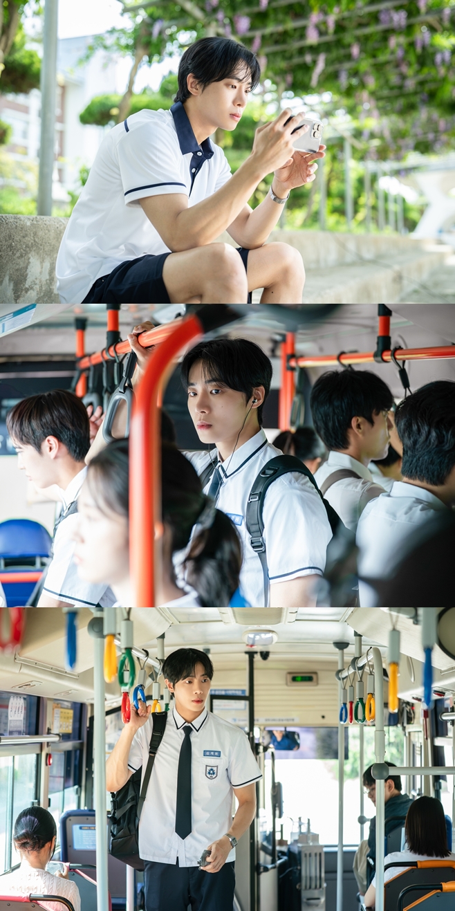 Ƽ���̵��ϸ� ����