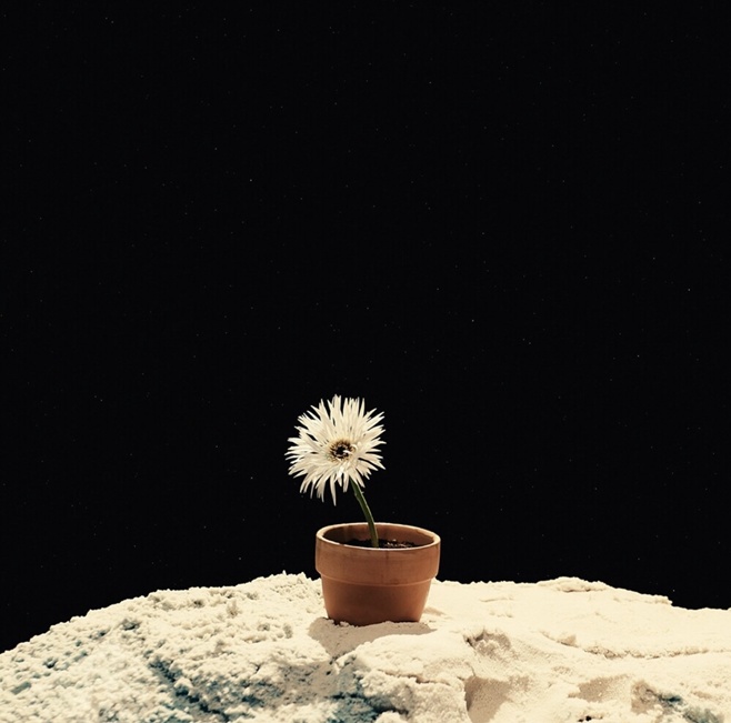 ƼºêÀ̵¥Àϸ® Æ÷Åä