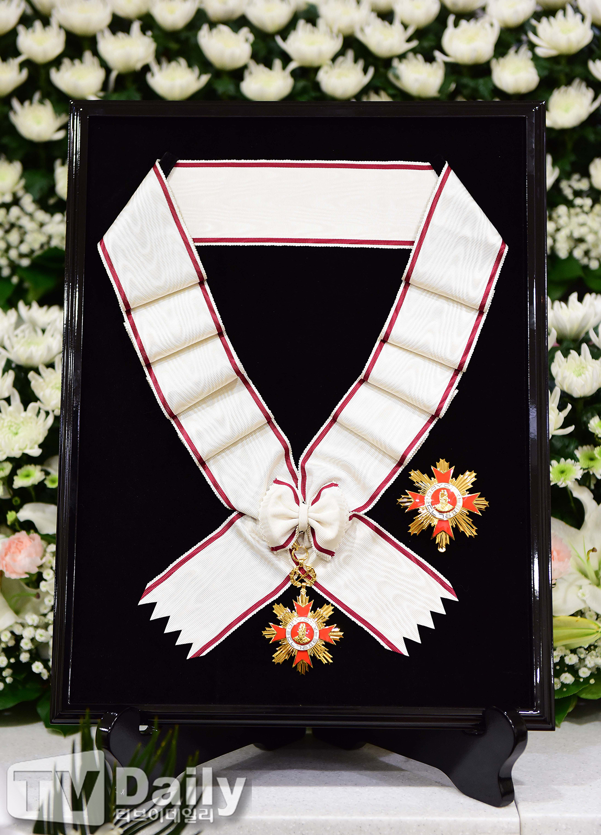 Ƽ���̵��ϸ� ����