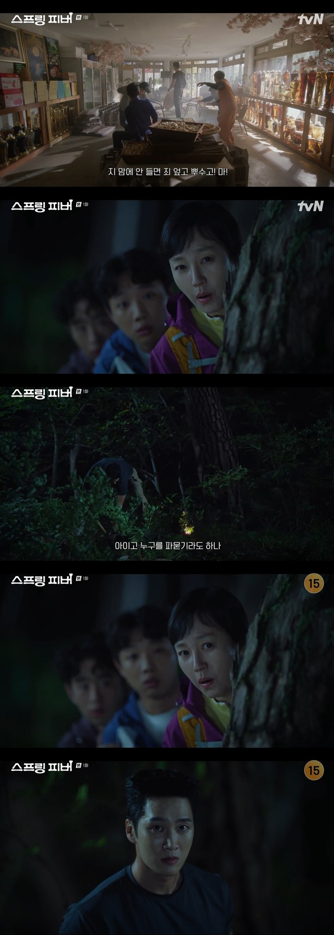 Ƽ���̵��ϸ� ����