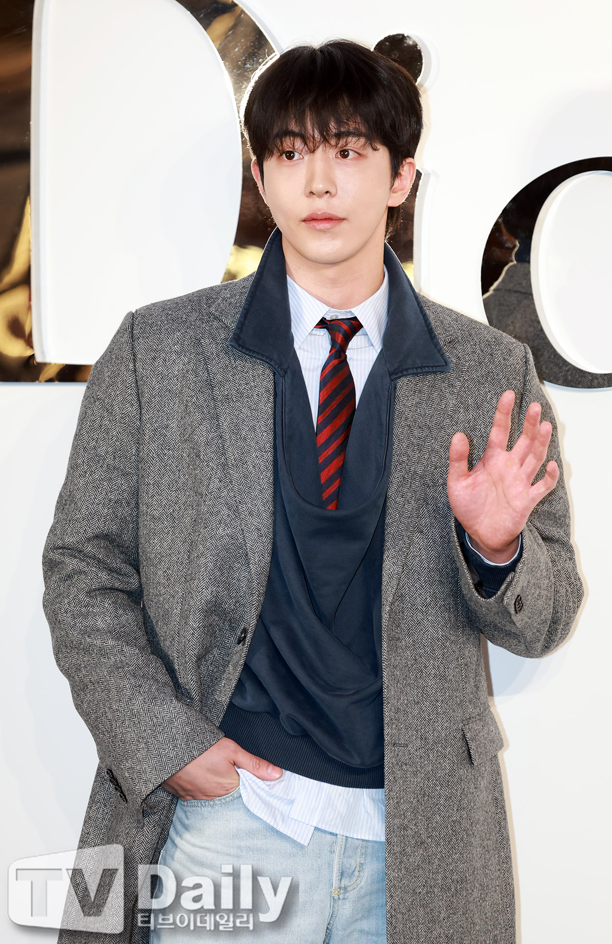 ƼºêÀ̵¥Àϸ® Æ÷Åä