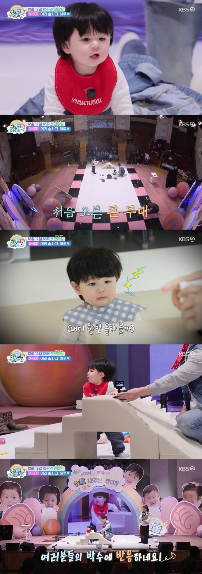 ƼºêÀ̵¥Àϸ® Æ÷Åä