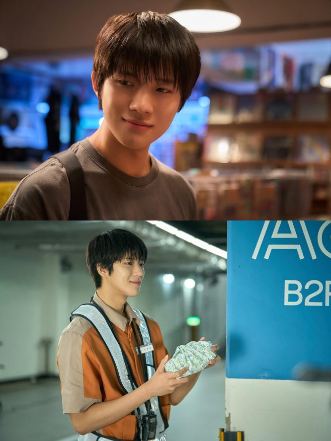 ƼºêÀ̵¥Àϸ® Æ÷Åä