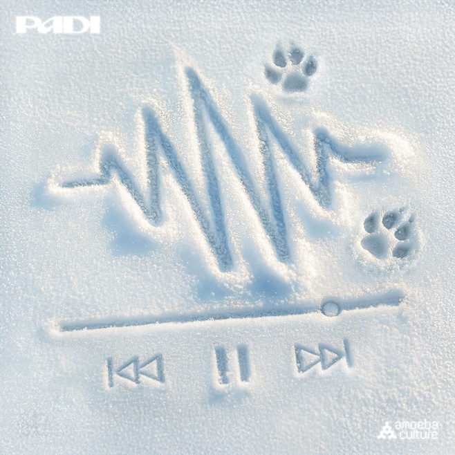 ƼºêÀ̵¥Àϸ® Æ÷Åä