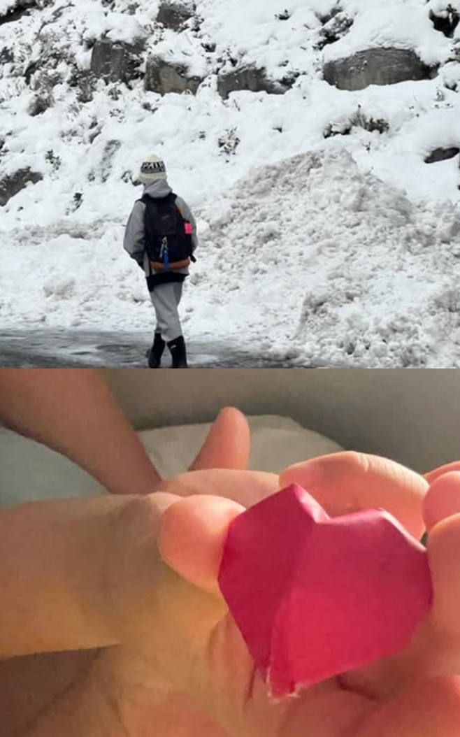 ƼºêÀ̵¥Àϸ® Æ÷Åä