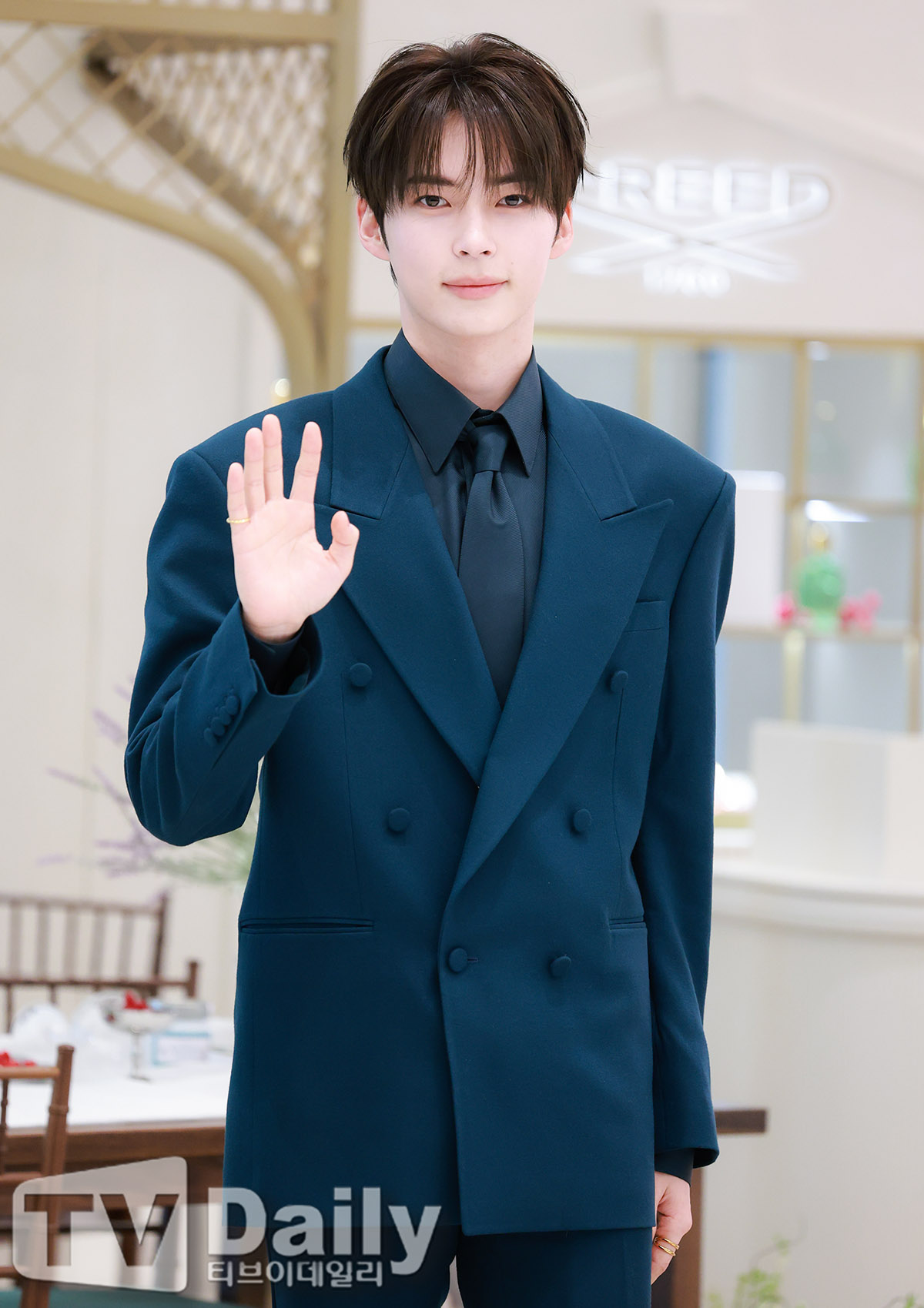 Ƽ���̵��ϸ� ����