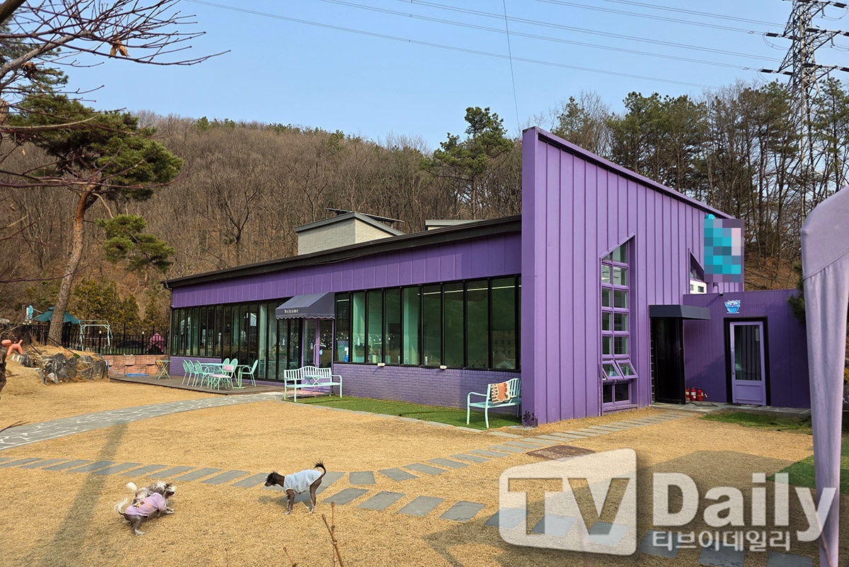 Ƽ���̵��ϸ� ����