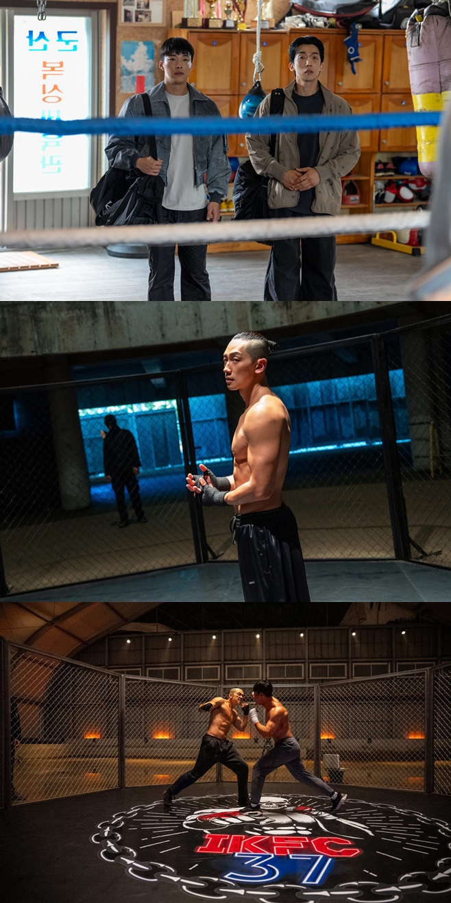 Ƽ���̵��ϸ� ����