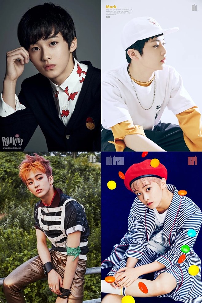 ƼºêÀ̵¥Àϸ® Æ÷Åä