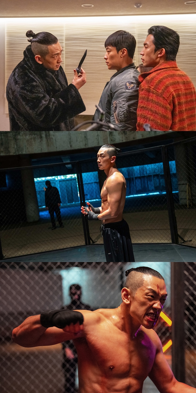 ƼºêÀ̵¥Àϸ® Æ÷Åä