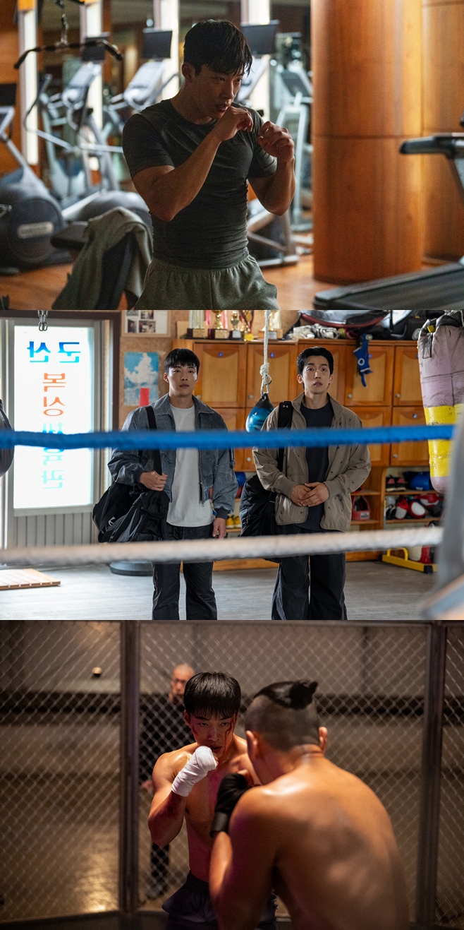 ƼºêÀ̵¥Àϸ® Æ÷Åä